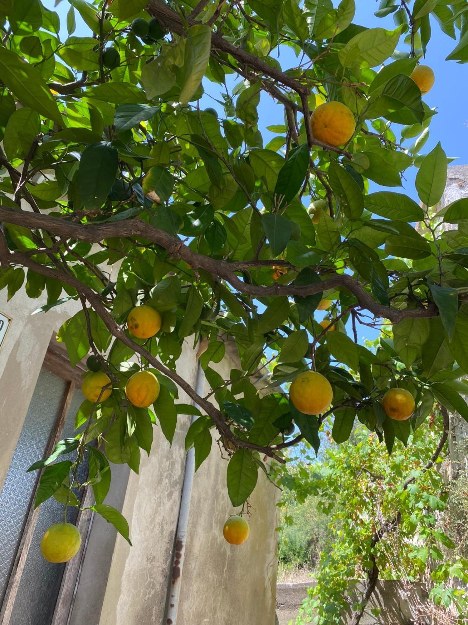 My Mediterranean Villa With Huge Garden And Own Parking Лумбарда Екстер'єр фото